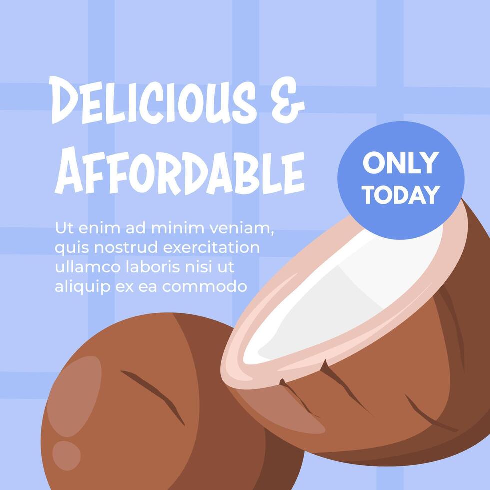 Delicious exotic coconuts at affordable price vector