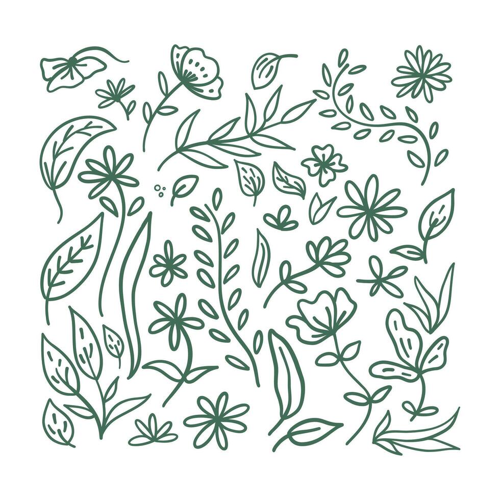 Hand Drawn Flower vector