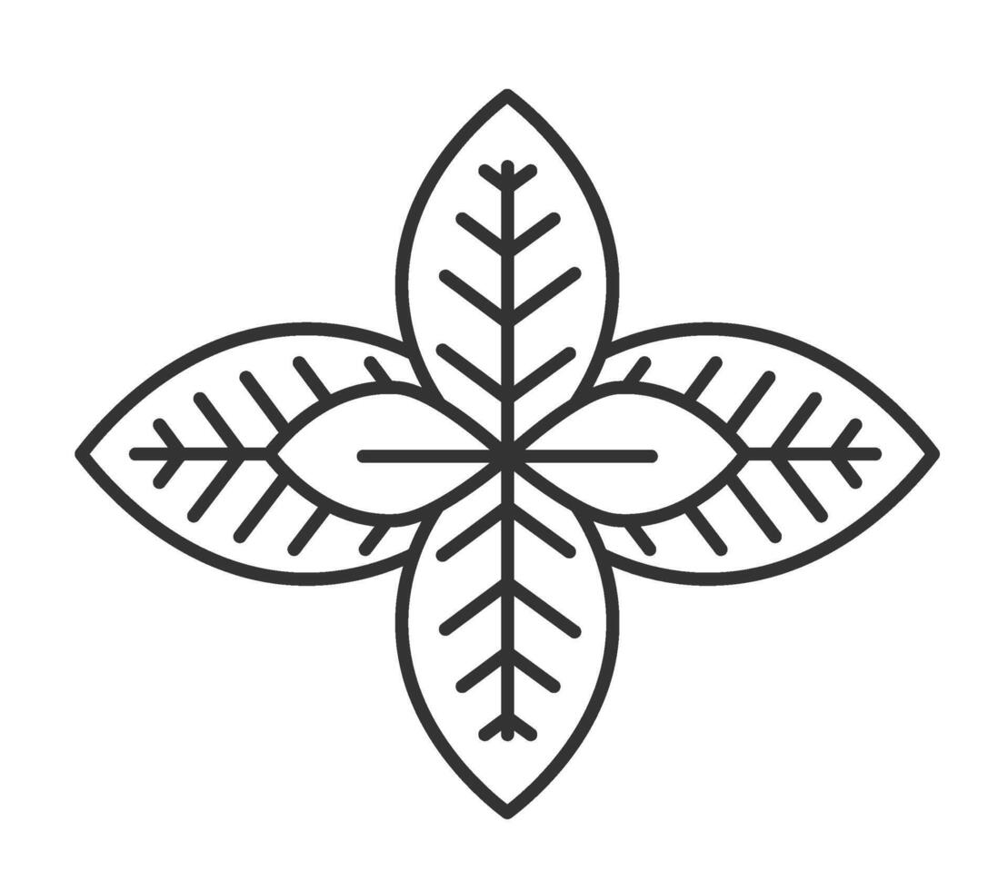 Mint leaves, drawing spices for cooking vector