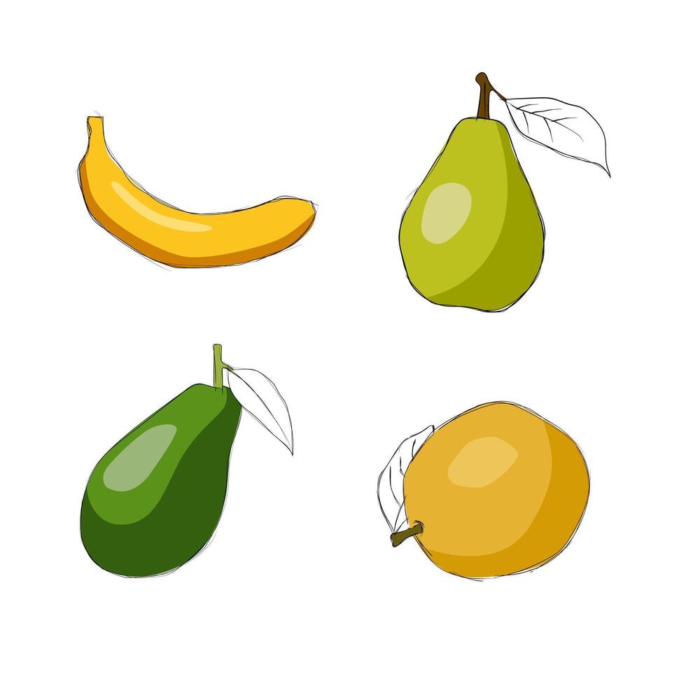 Fruit hand drawn set bundle design in white background. Free vector