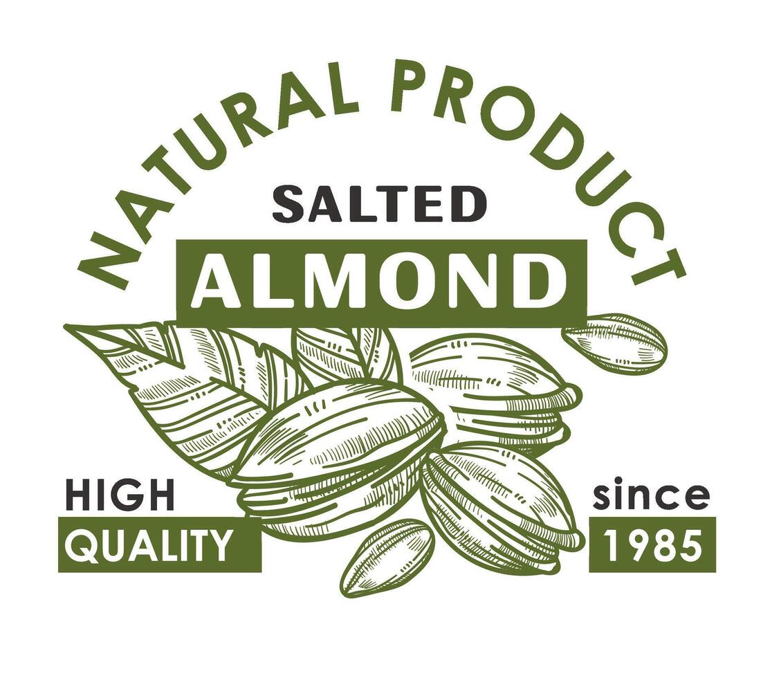 salado almendra, natural producto bandera promoción vector