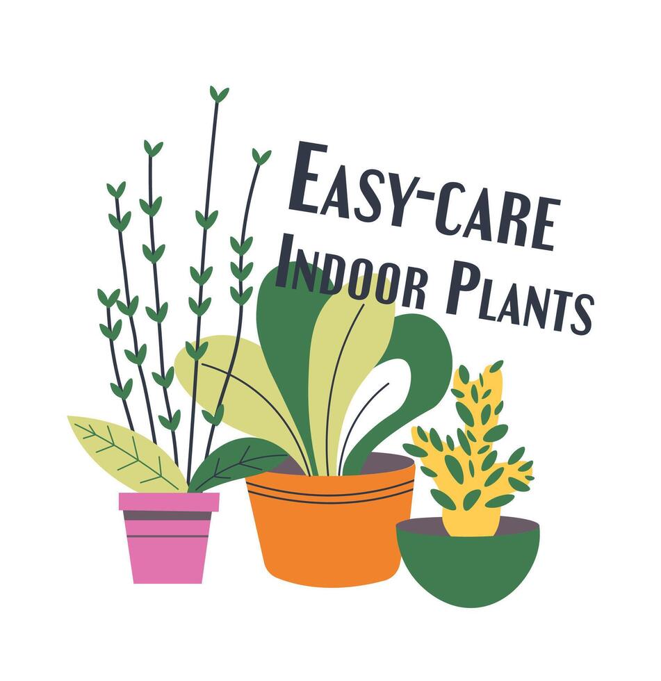 Indoor plants easy to care for, promo banners vector