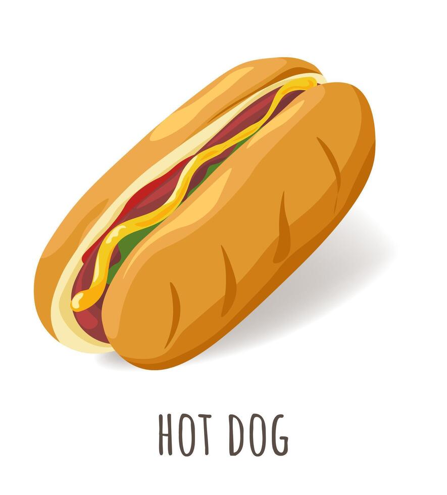 Hot dog with mustard and ketchup, street fastfood vector