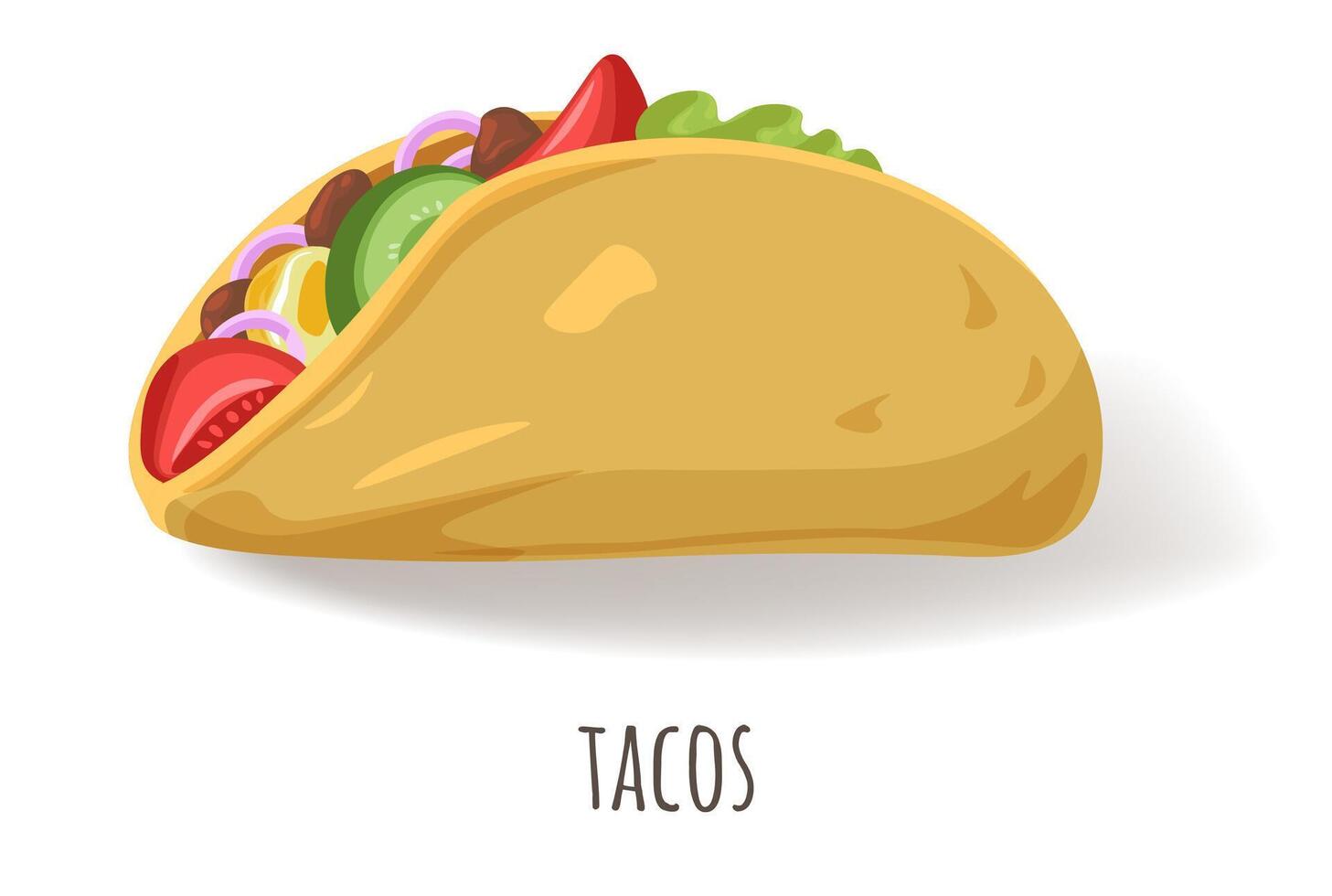 Tacos corn or flour tortillas with vegetables vector