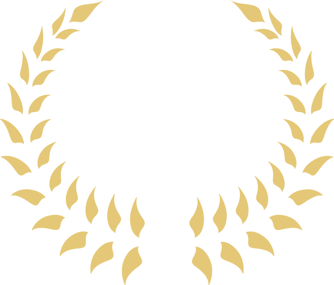 winner award victory png