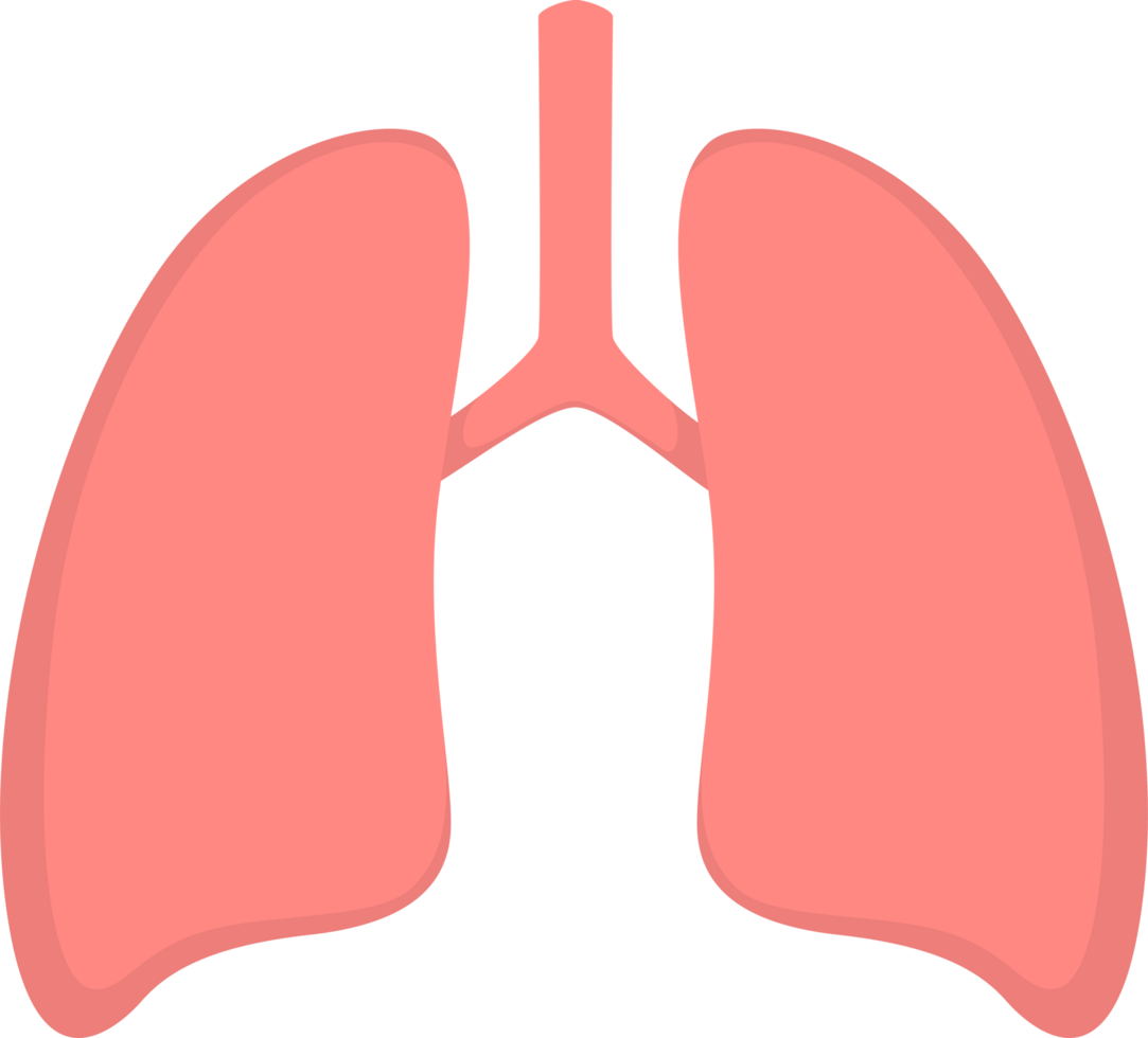 lungs organ pneumonia png