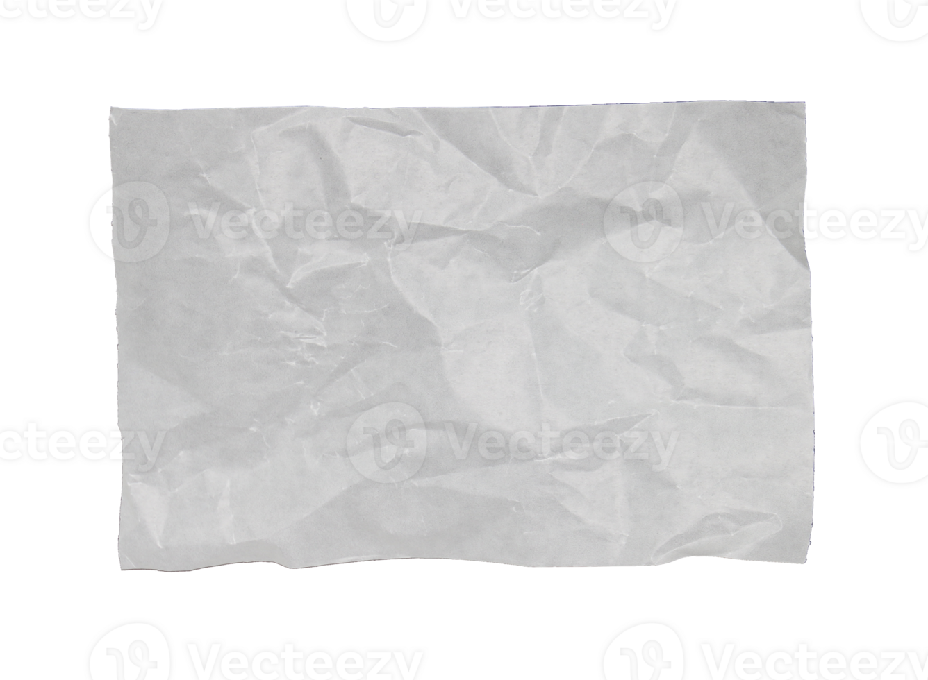 Pieces of torn scrapbook paper on transparent background png file