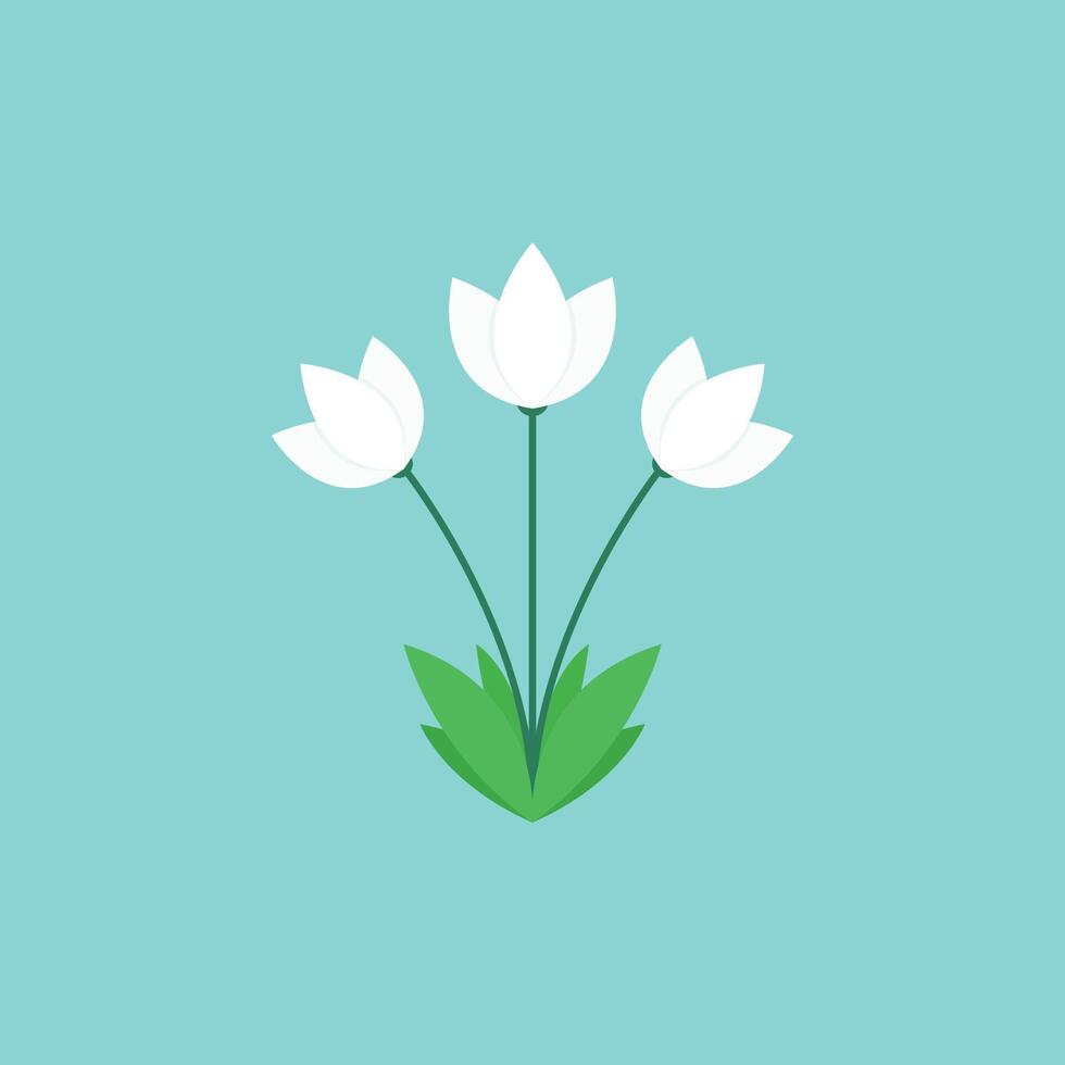 White flower vector. White flower pattern wallpaper vector