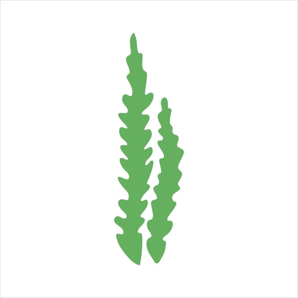 Algae plant abstract vector element