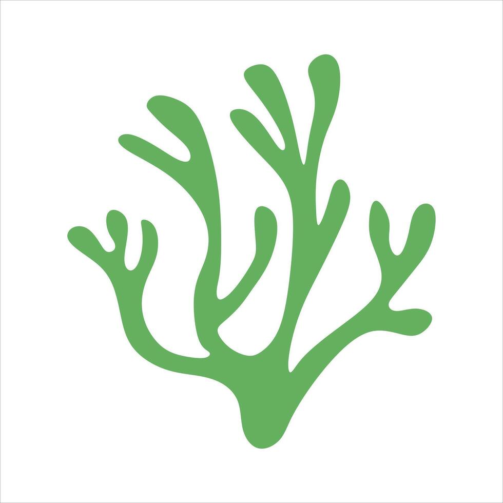 Algae plant abstract vector element