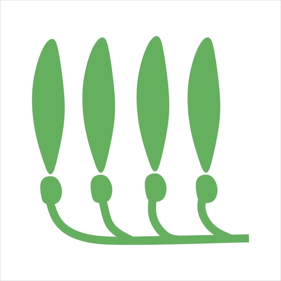 Algae plant abstract vector element