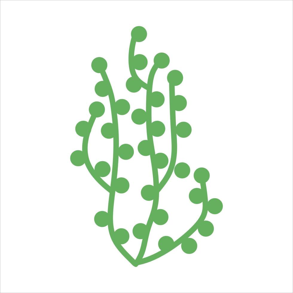 Algae plant abstract vector element