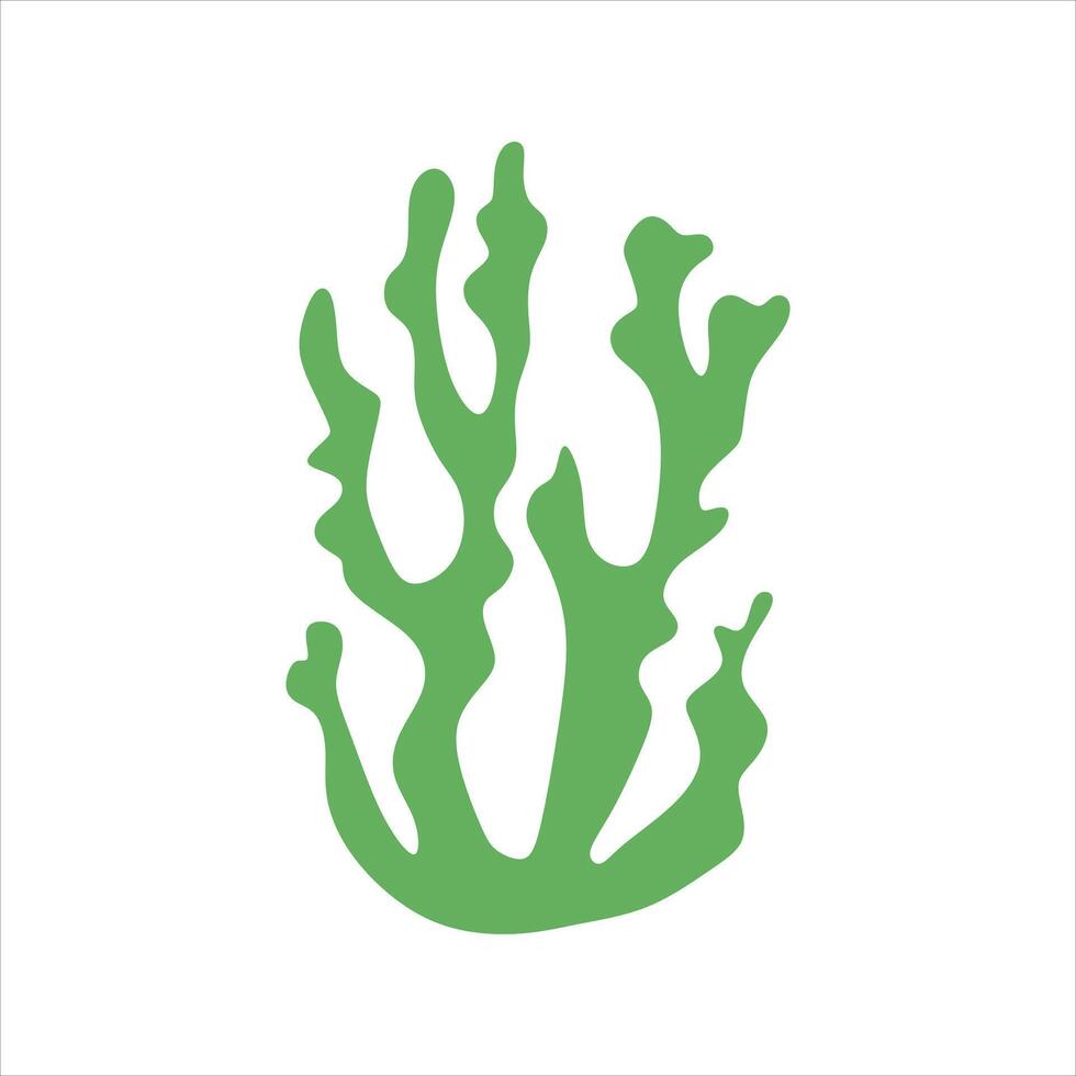 Algae plant abstract vector element