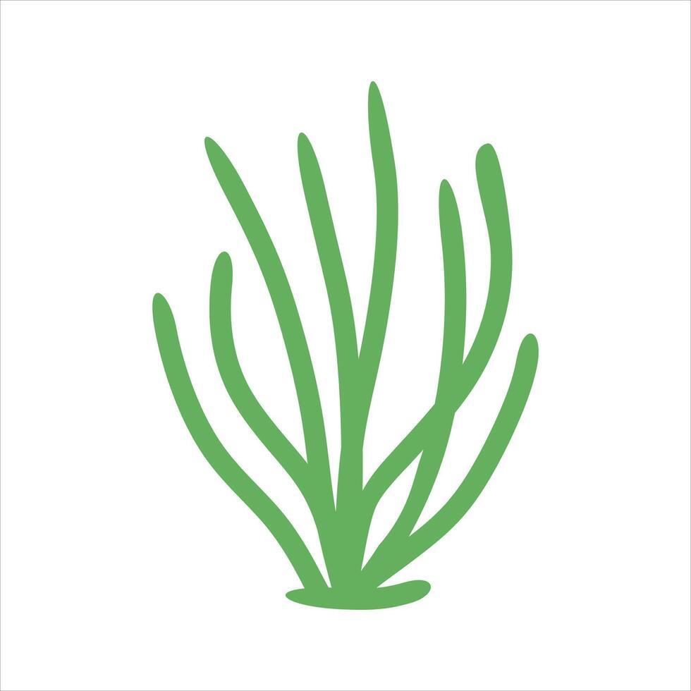 Algae plant abstract vector element