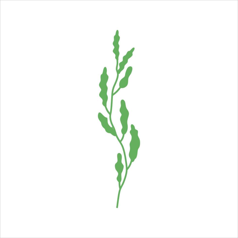 Algae plant abstract vector element