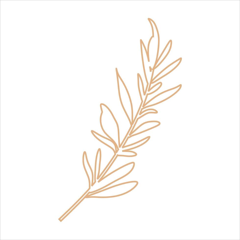 Outline beige abstract floral vector element