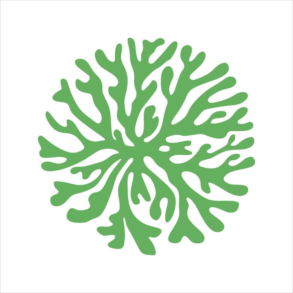 Algae plant abstract vector element