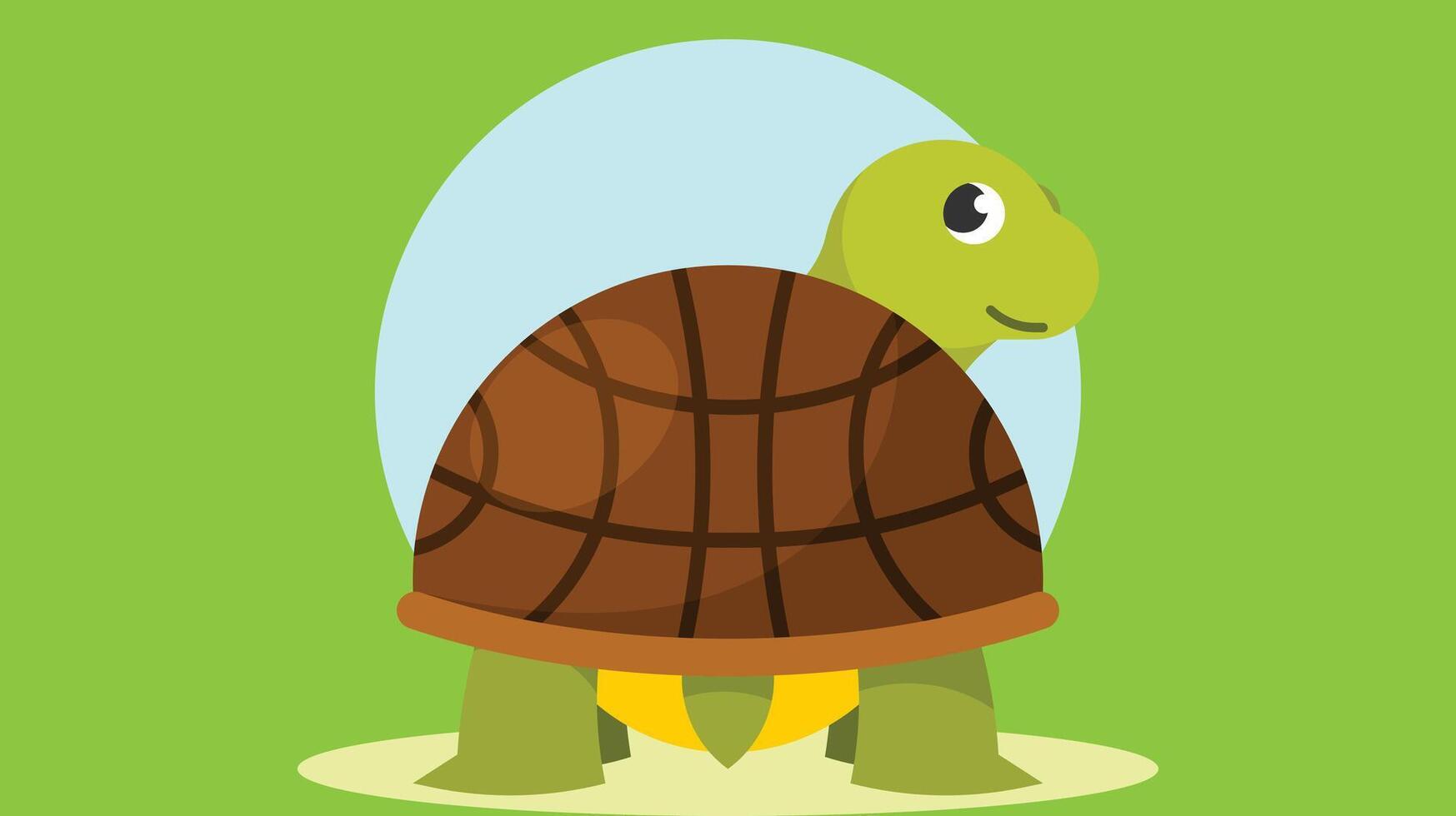 turtle animal pet isolated cartoon coloring book vector illustration