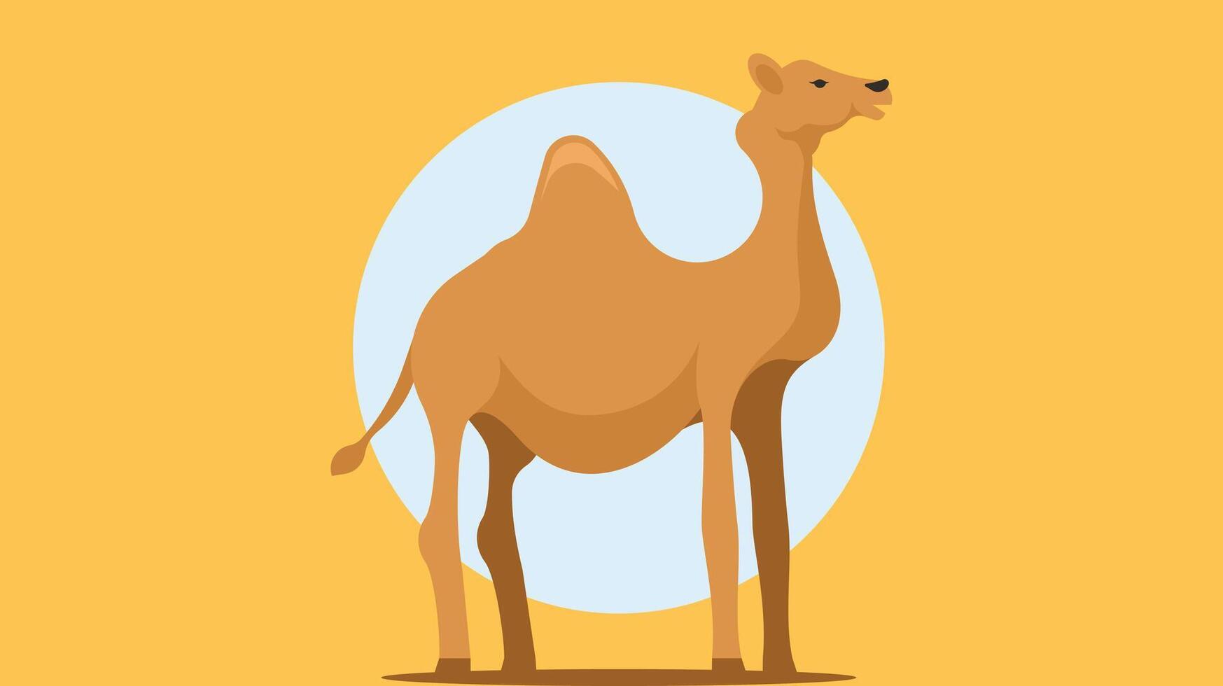 camel in the desert isolated vector illustration