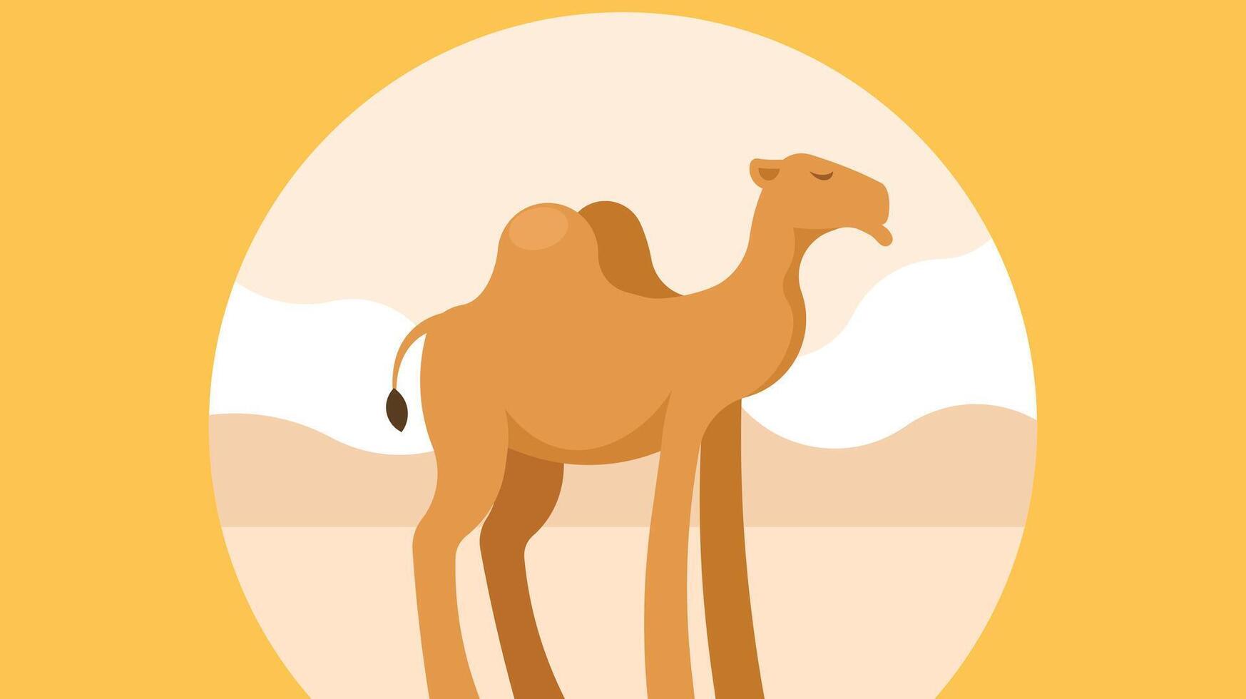 camel in the desert isolated vector illustration