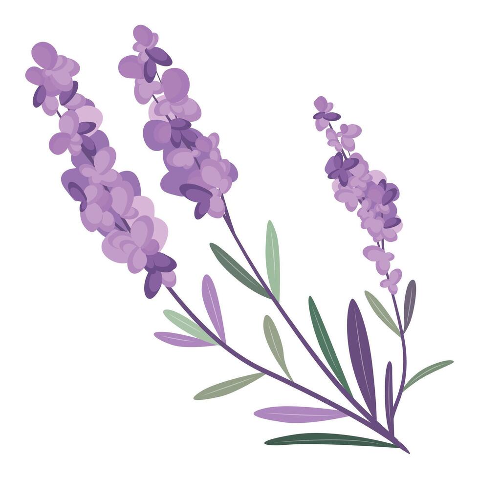 ai generado manojo de lavanda flores en un blanco antecedentes vector