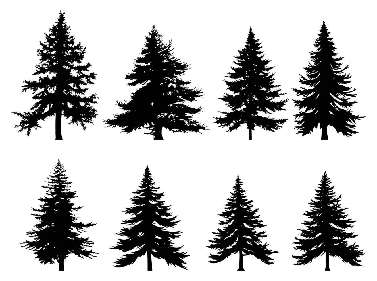 Fir trees silhouette set. Black silhouettes of sine trees on white background. Vector illustration