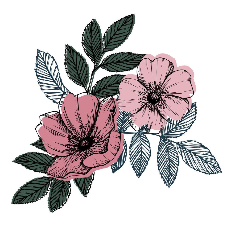 Rose hip vector composition with leaves and flowers. Wild rose, medicinal herb line art drawing, pink and red bud. Outline graphic illustration. sketch for card, prints, logo, tattoo, wedding design