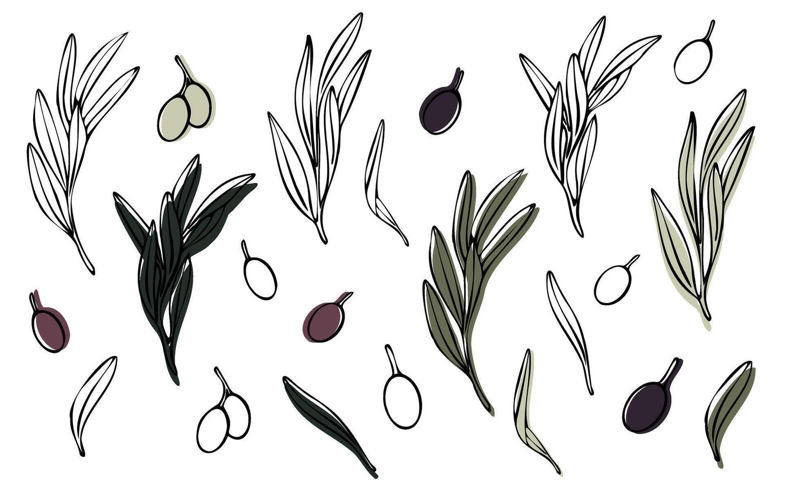 Vector olive tree branch with leaves and olives fruit. Hand painted outline floral illustration with color background for logo, package design, greetings, wallpapers, print, fabric