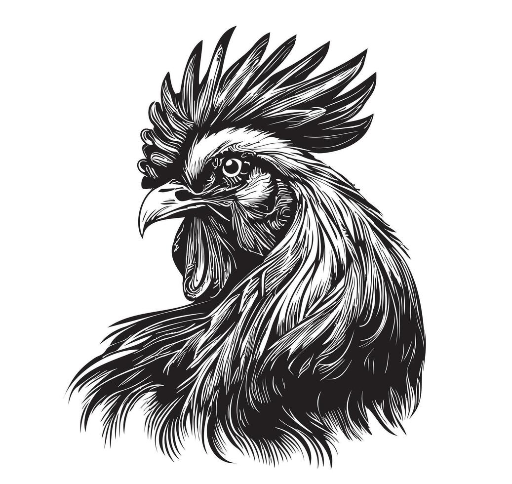 Farm rooster head hand drawn sketch in doodle style Vector illustration