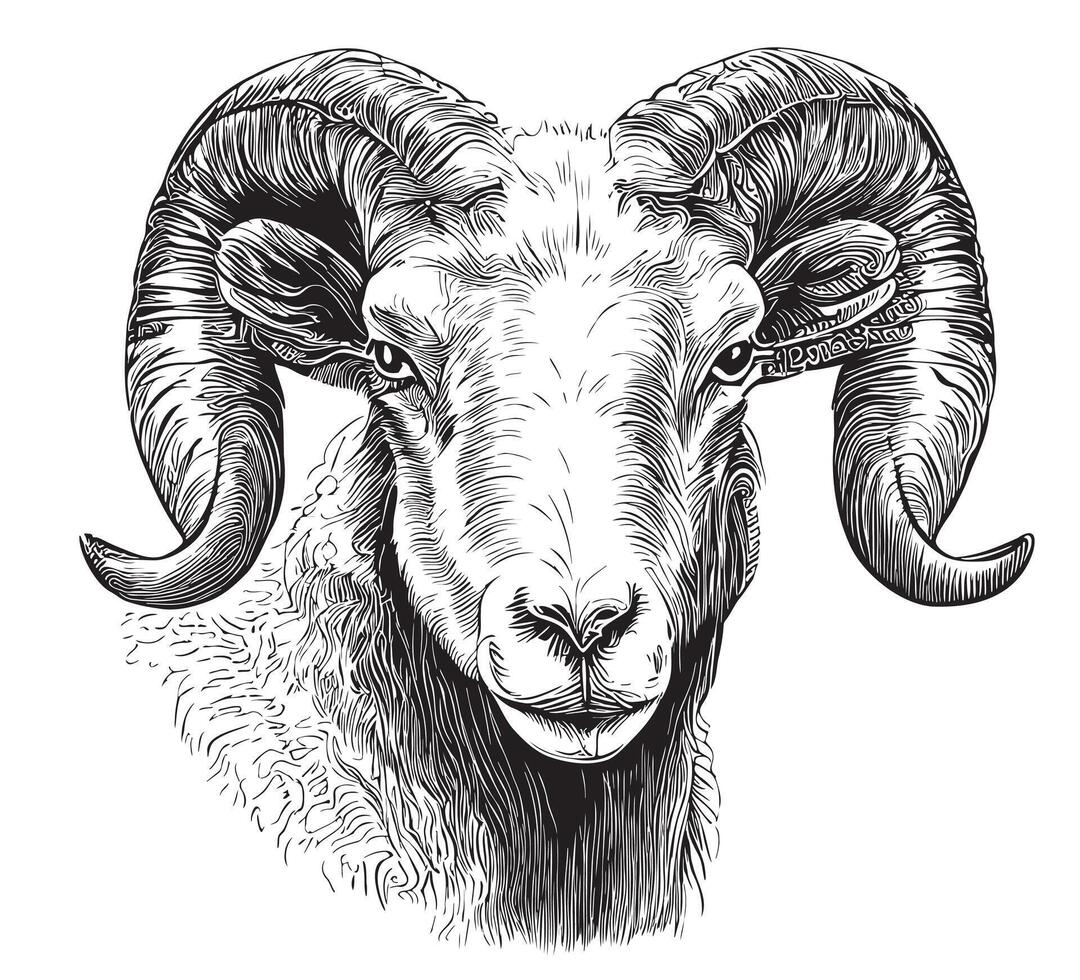 Ram face sketch hand drawn in doodle style Vector illustration