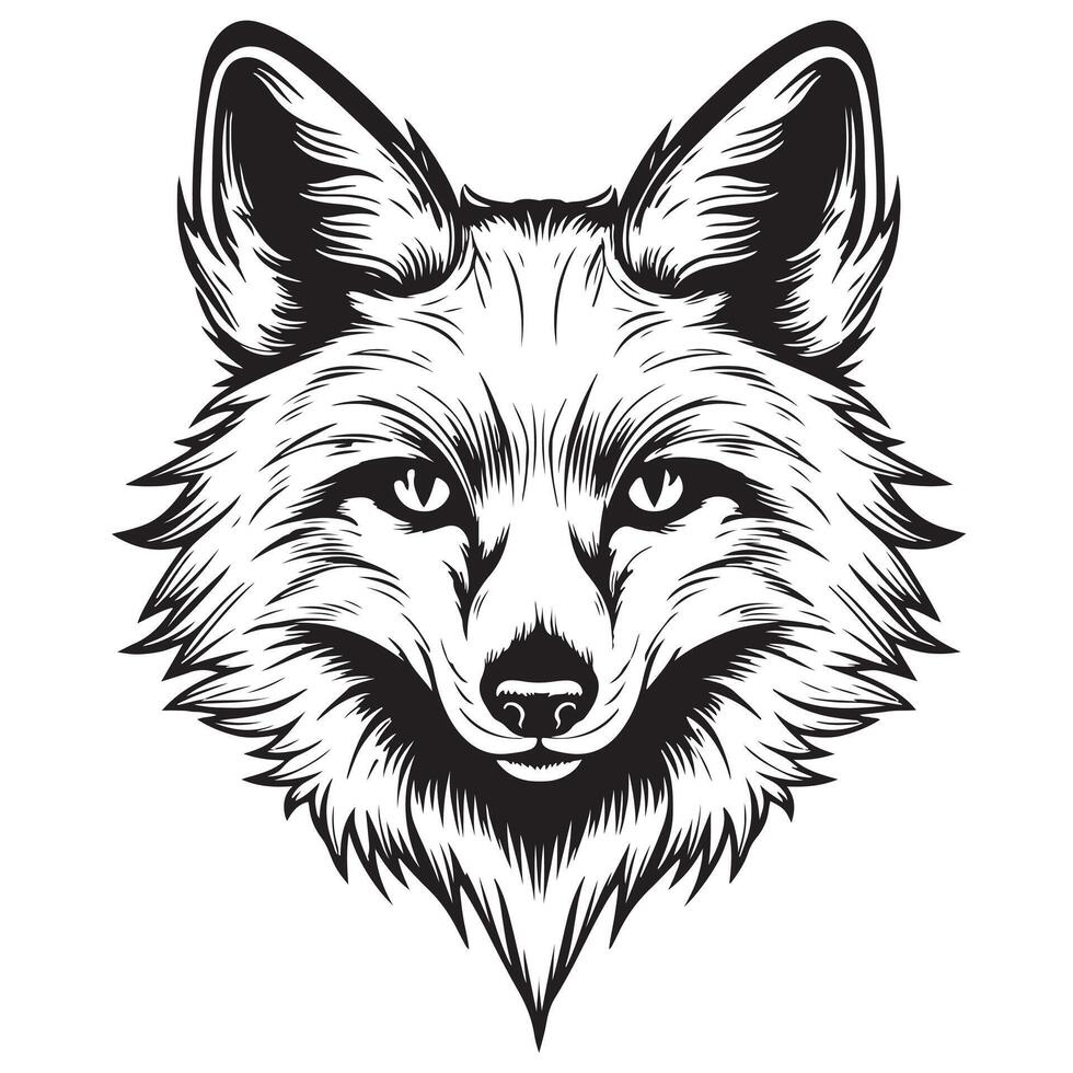 Fox. Graphic, sketch, black and white, hand-drawn portrait of a Foxs head on a white background. vector