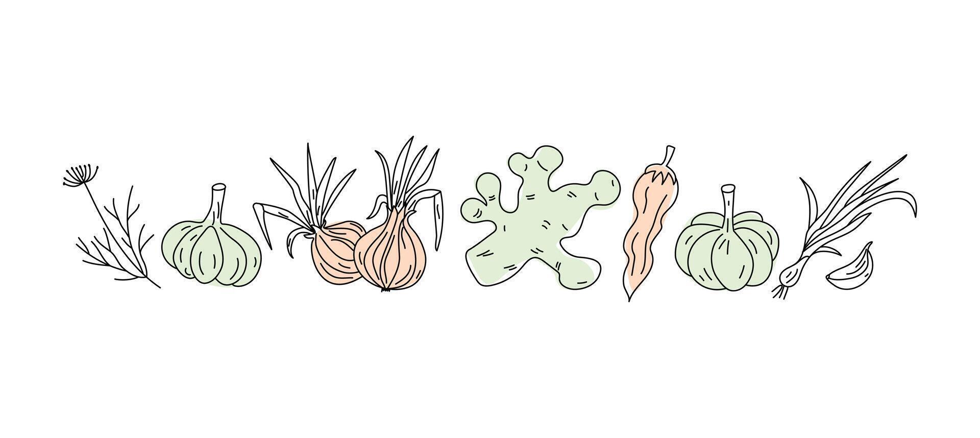 Natural vegetarian food. Line icons. Ginger, onion, garlic, dill and chili pepper. Set of vegetables, doodle drawings. Vitamin food. Hand drawn. Vector illustration, drawing, sketch.