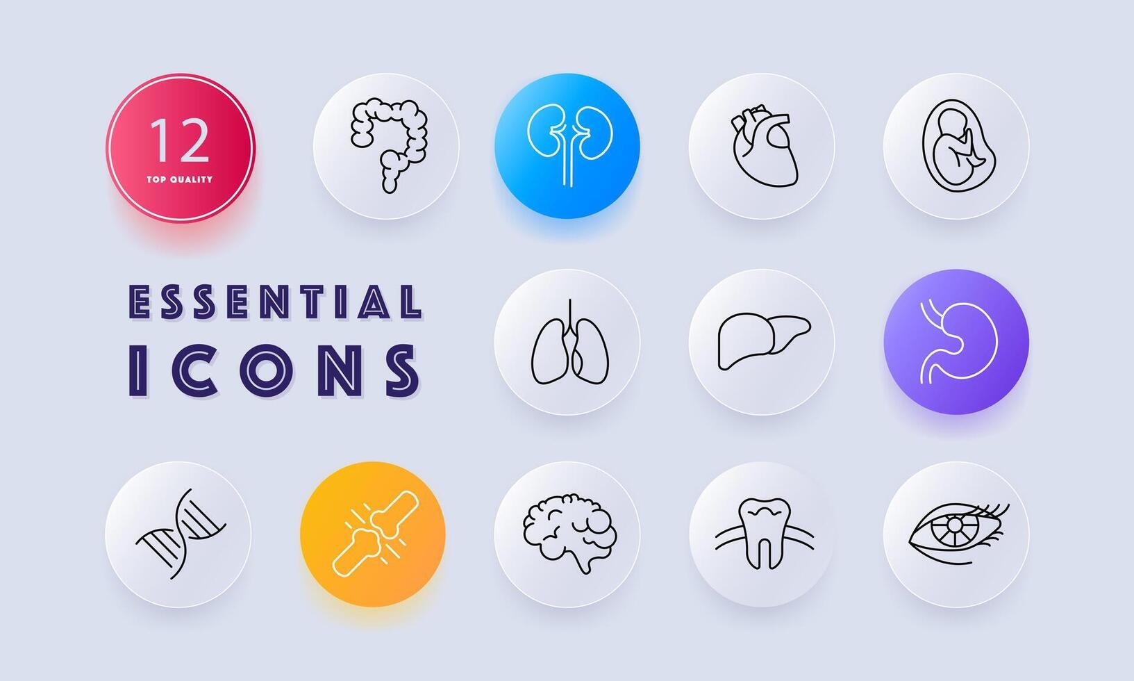 Organs set icon. Intestinal tract, stomach, liver, brain, lungs, embryo, DNA, tooth, eye, heart, eyelids, eyelashes. mesh, gradient. Self care concept. Glassmorphism style. vector