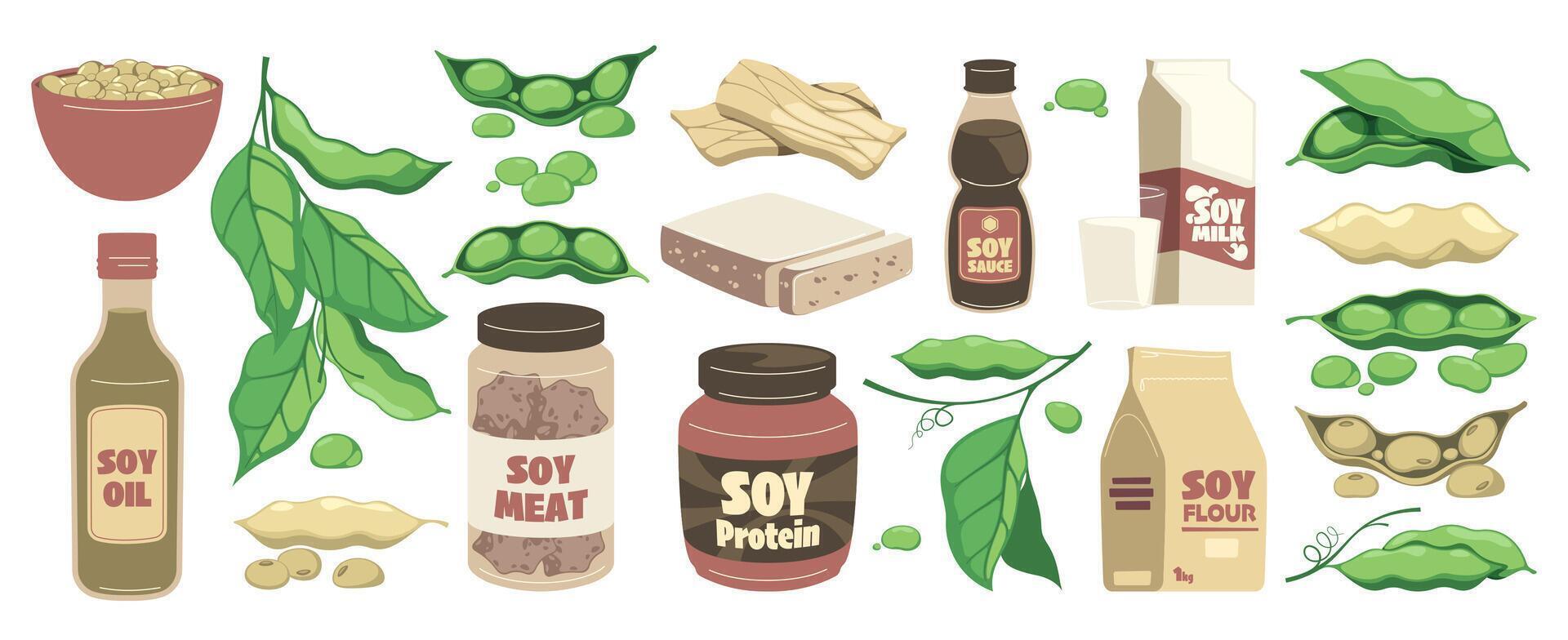 Soy bean products. Cartoon organic food with soybean soy milk soya tofu tempeh, vegan vegetarian healthy protein alternative. Vector set