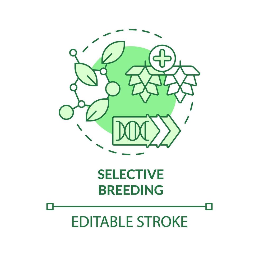 Selective breeding green concept icon. Seed modification, artificial selection. Synthetic biology. Round shape line illustration. Abstract idea. Graphic design. Easy to use in article, blog post vector