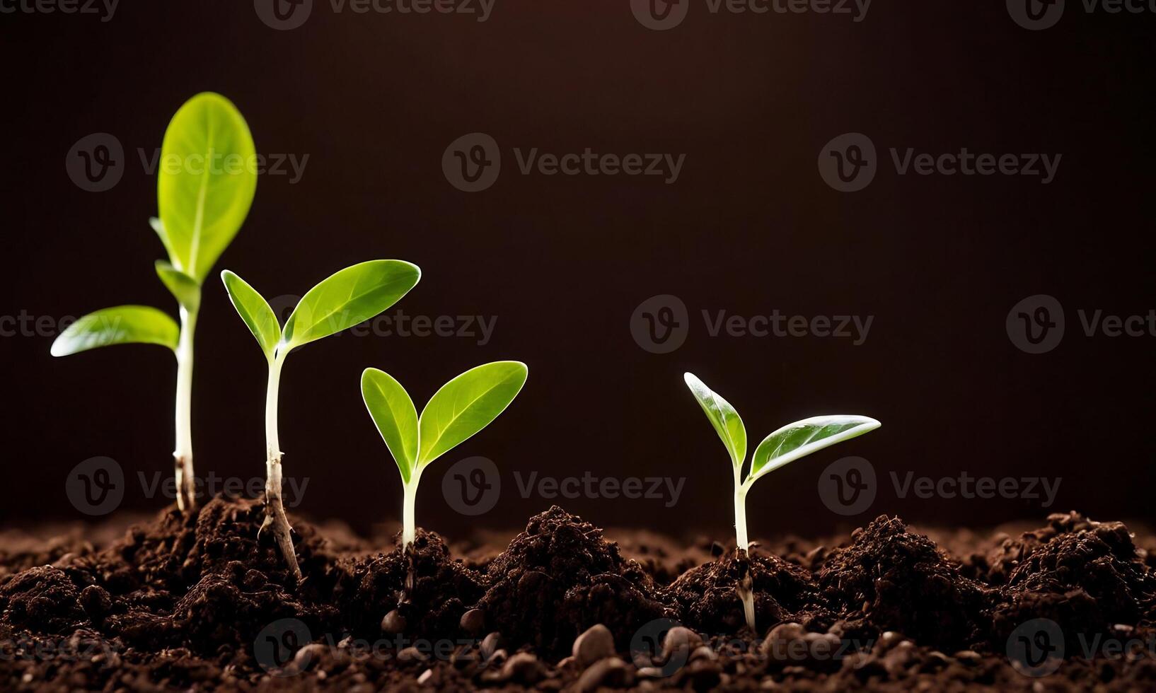 AI generated plants growing from soil, plant progress, growing plant, grow up from ground photo