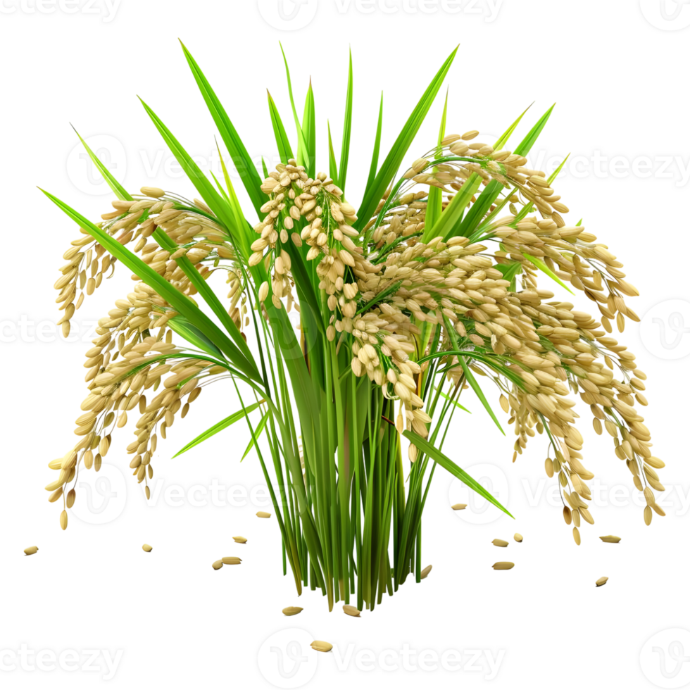 AI generated Cereal Flowers or Crop on Transparent background - Ai Generated png