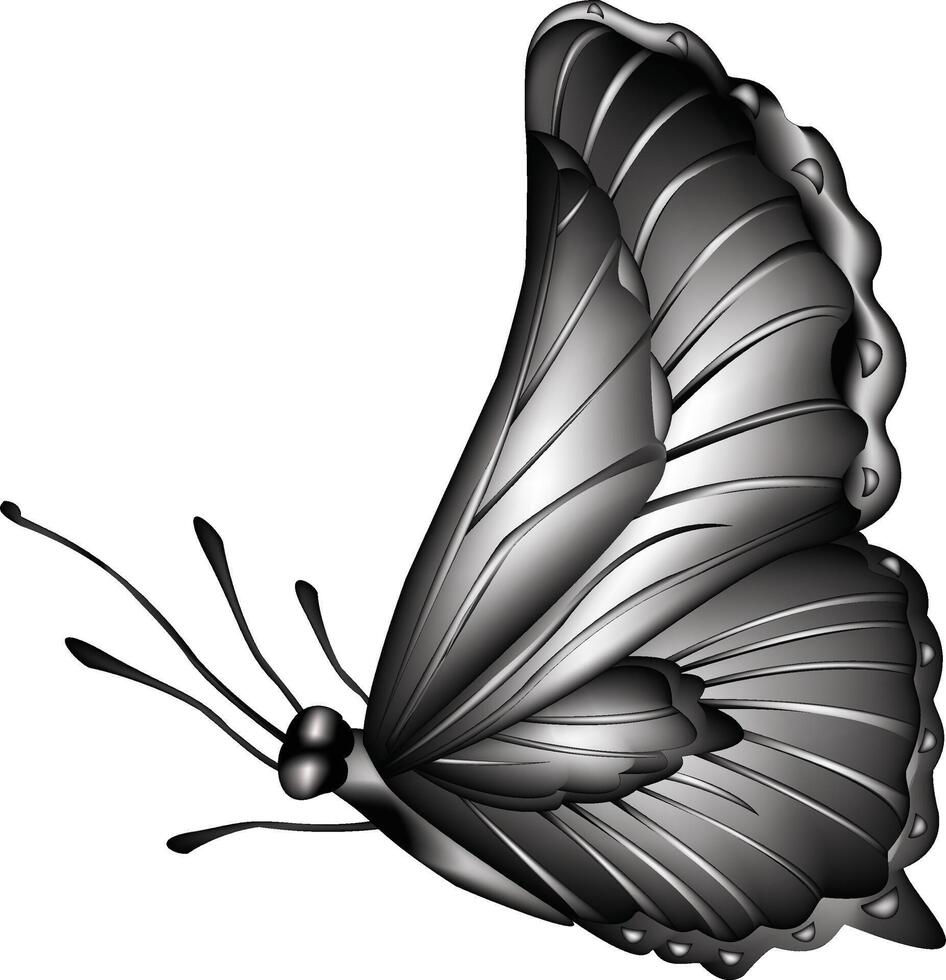 illustration of black color butterfly vector design on a white background