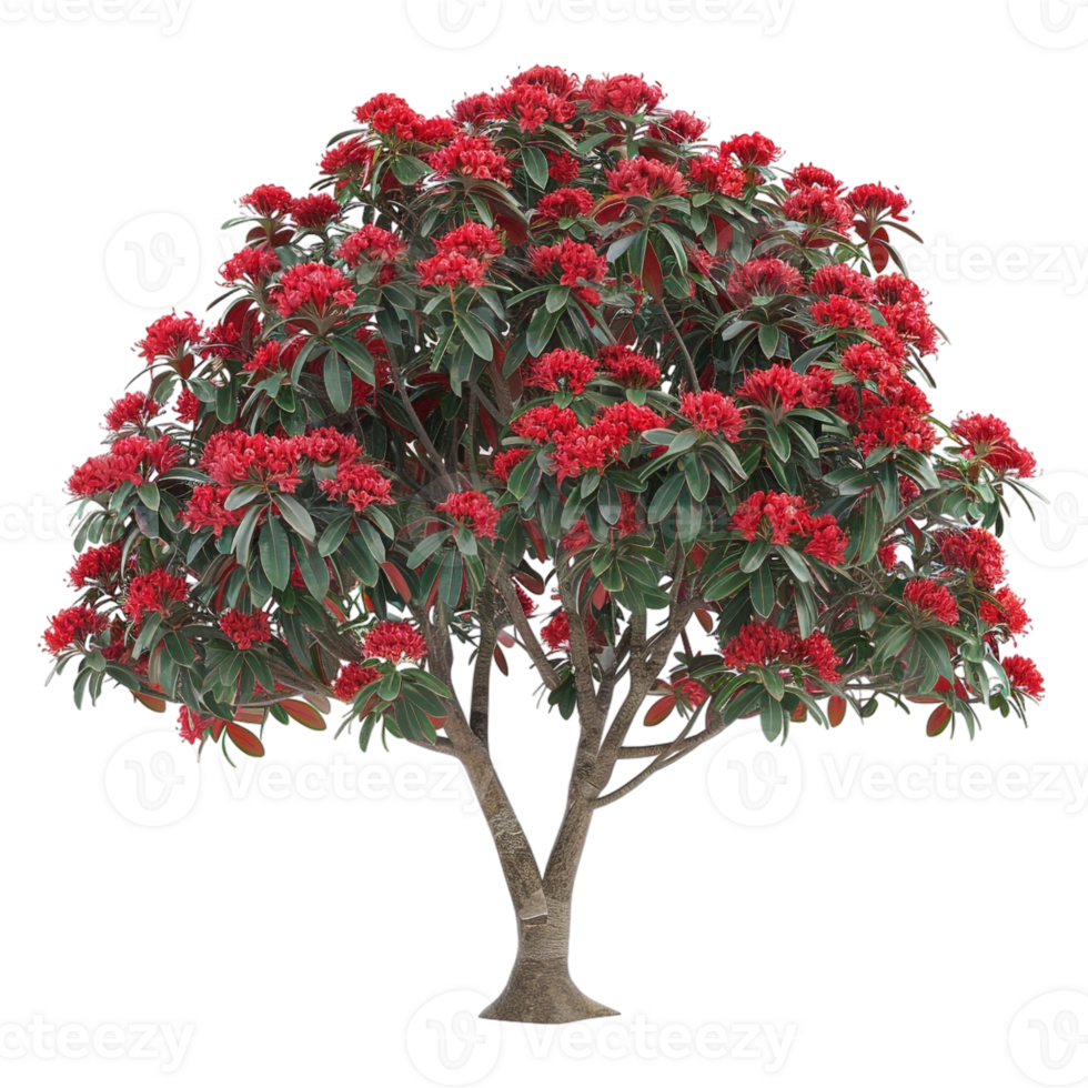 AI generated Red Flowers on a Tree on Transparent background - Ai Generated png
