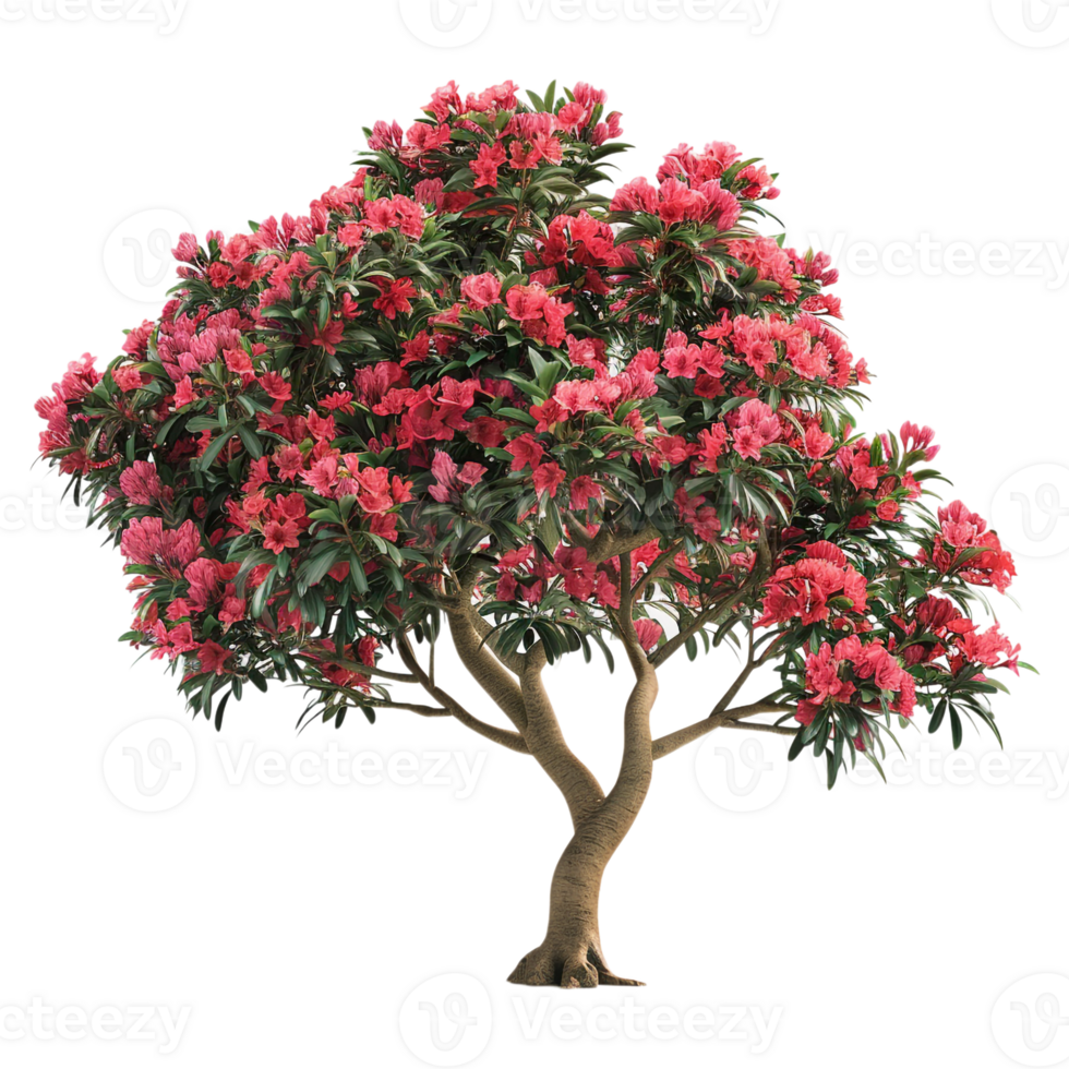 ai gegenereerd rood bloemen Aan een boom Aan transparant achtergrond - ai gegenereerd png