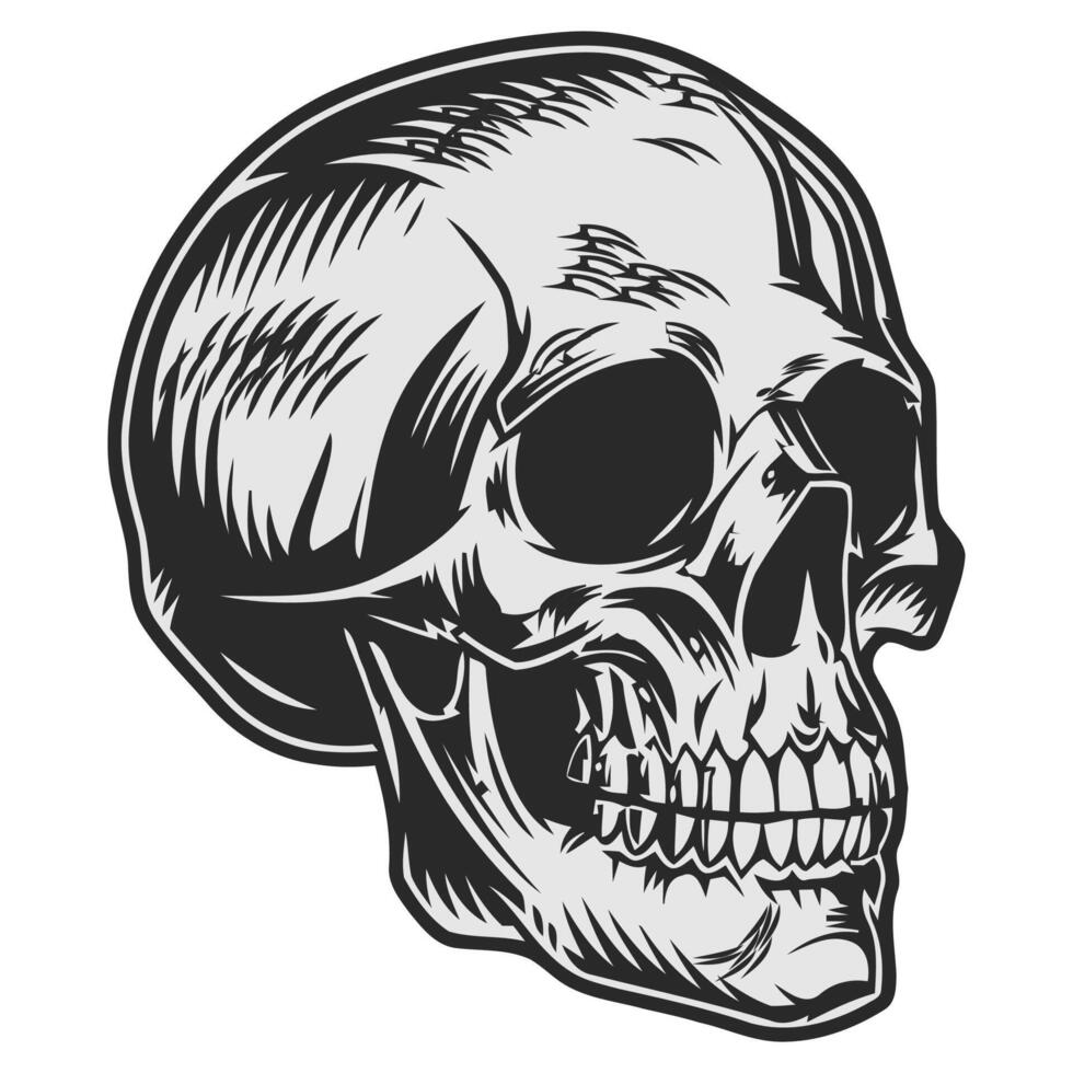 Black and white human skull vector