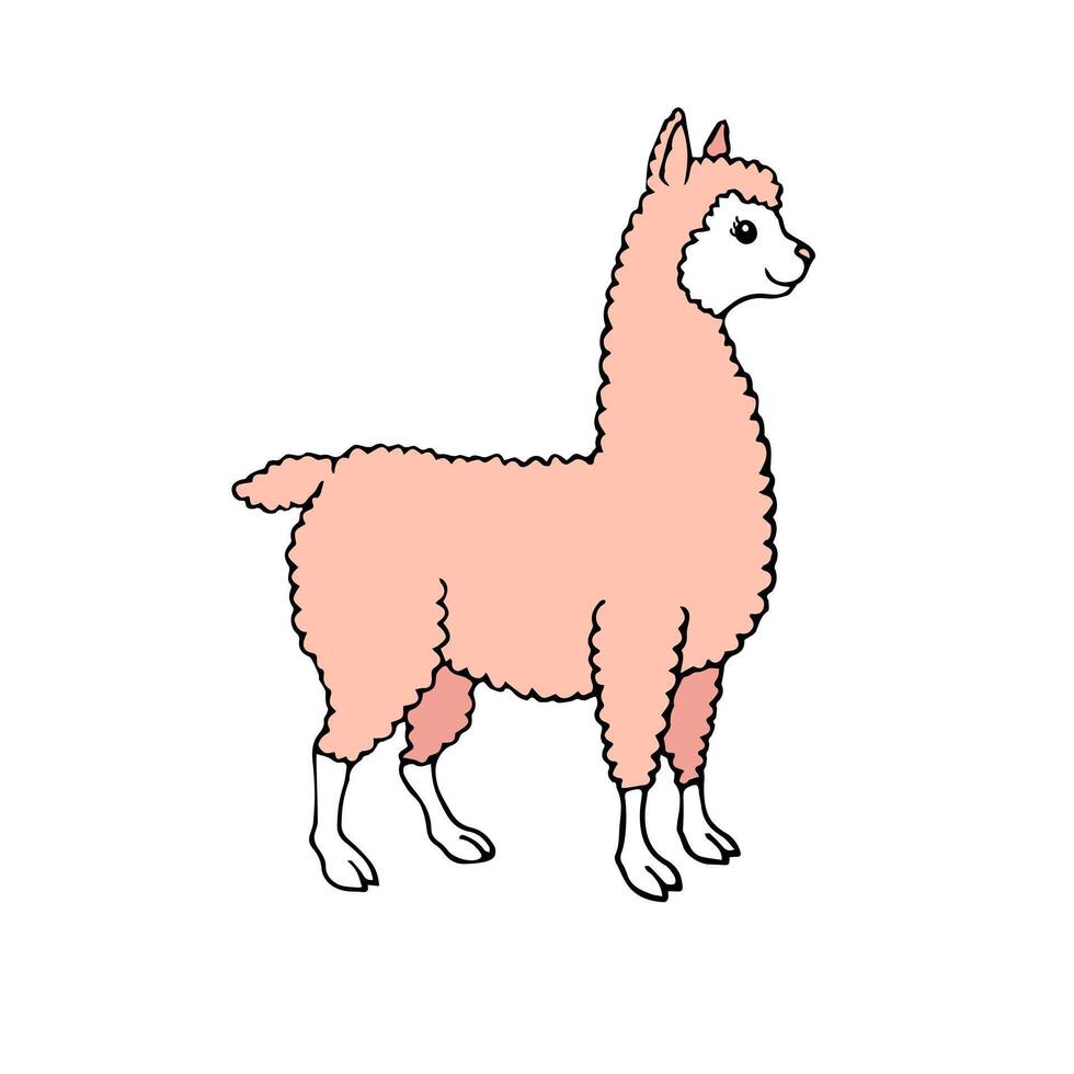 vector mano dibujado garabatear bosquejo llama alpaca