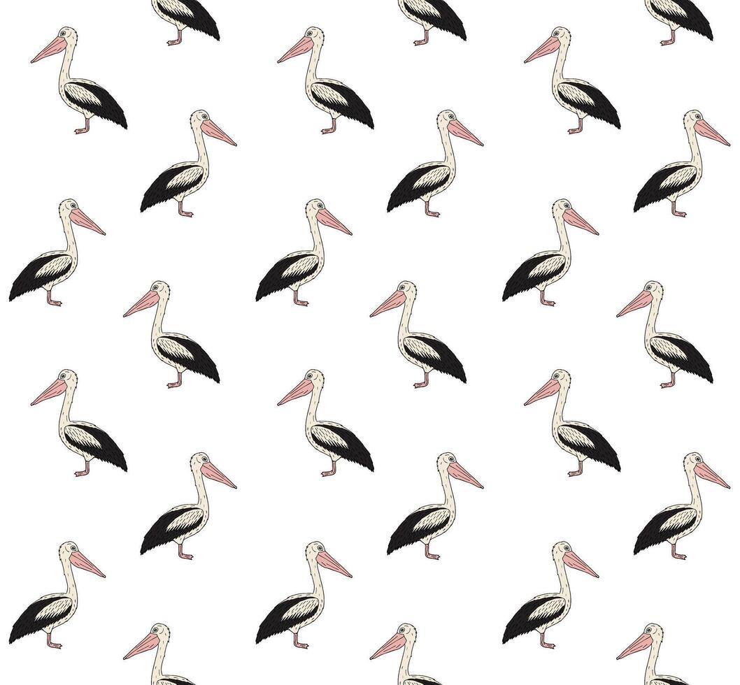 Vector seamless pattern of hand drawn pelican