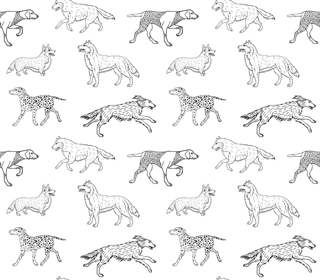Vector seamless pattern of hand drawn dogs