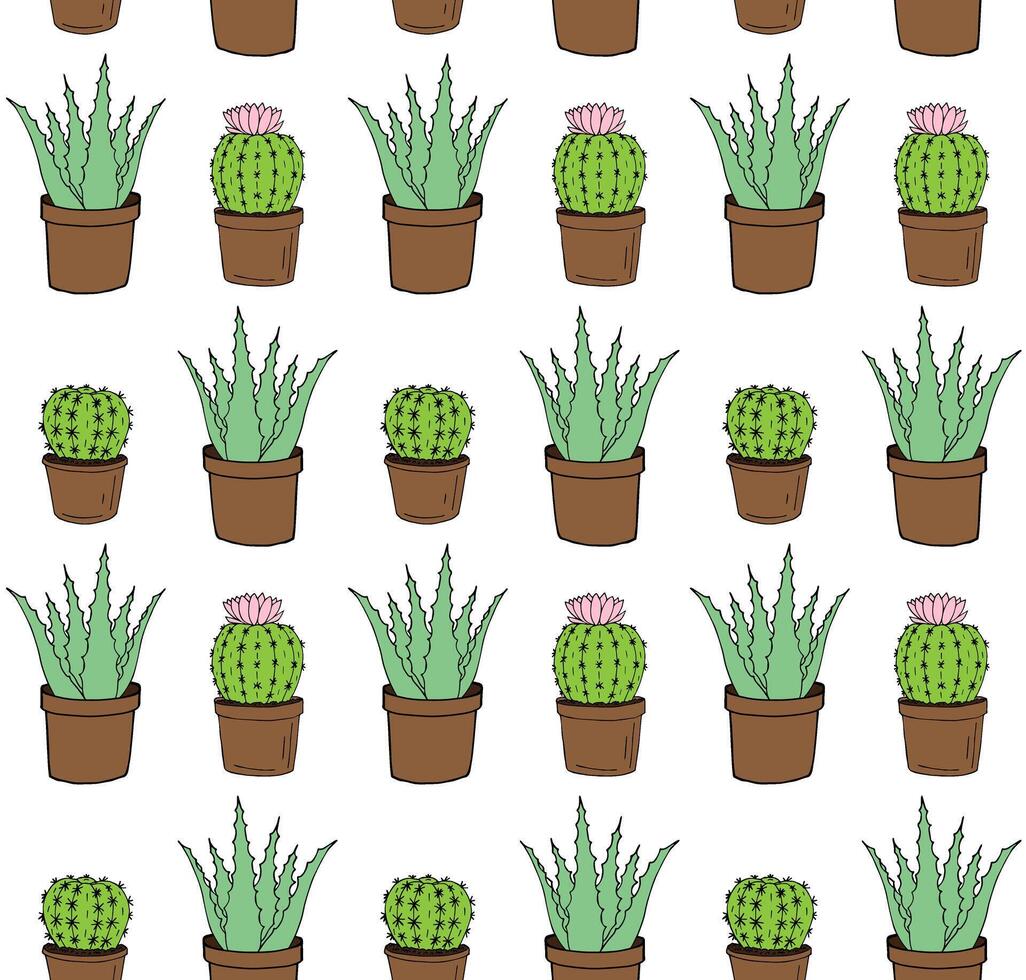 Seamless pattern of doodle green aloe and cacti vector