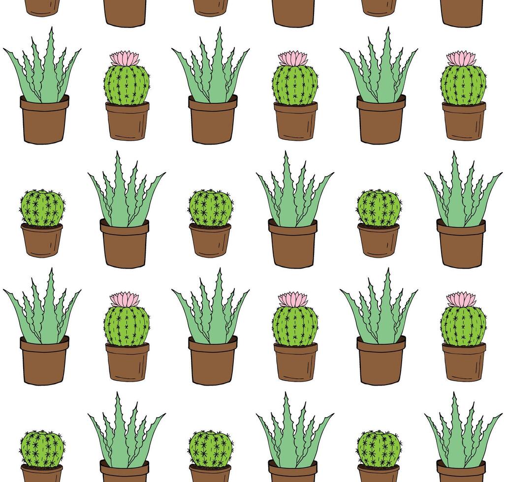 Seamless pattern of doodle green aloe and cacti vector