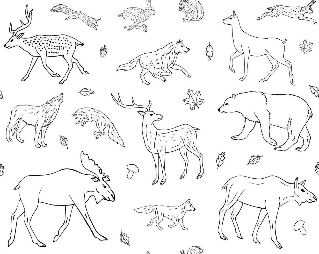 Vector seamless pattern of hand draw forest animal