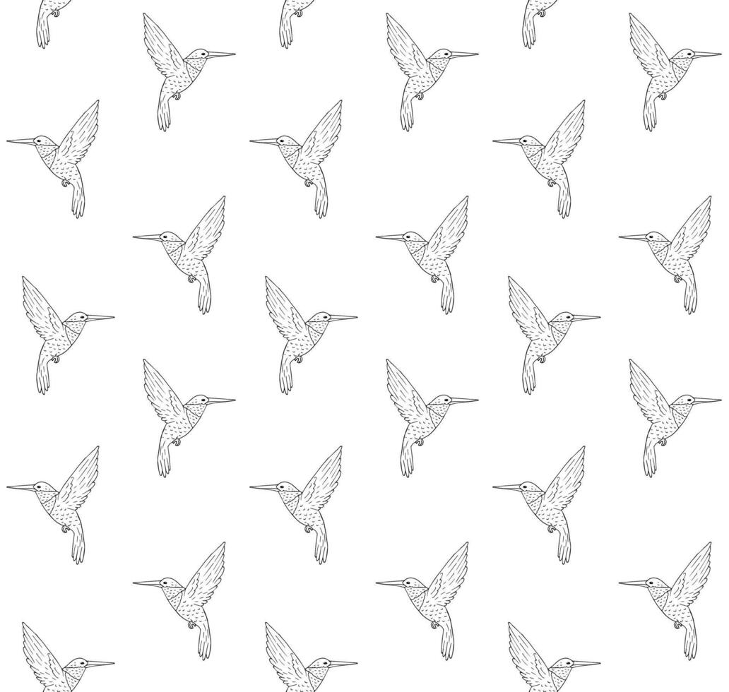 Vector seamless pattern of hand drawn hummingbird