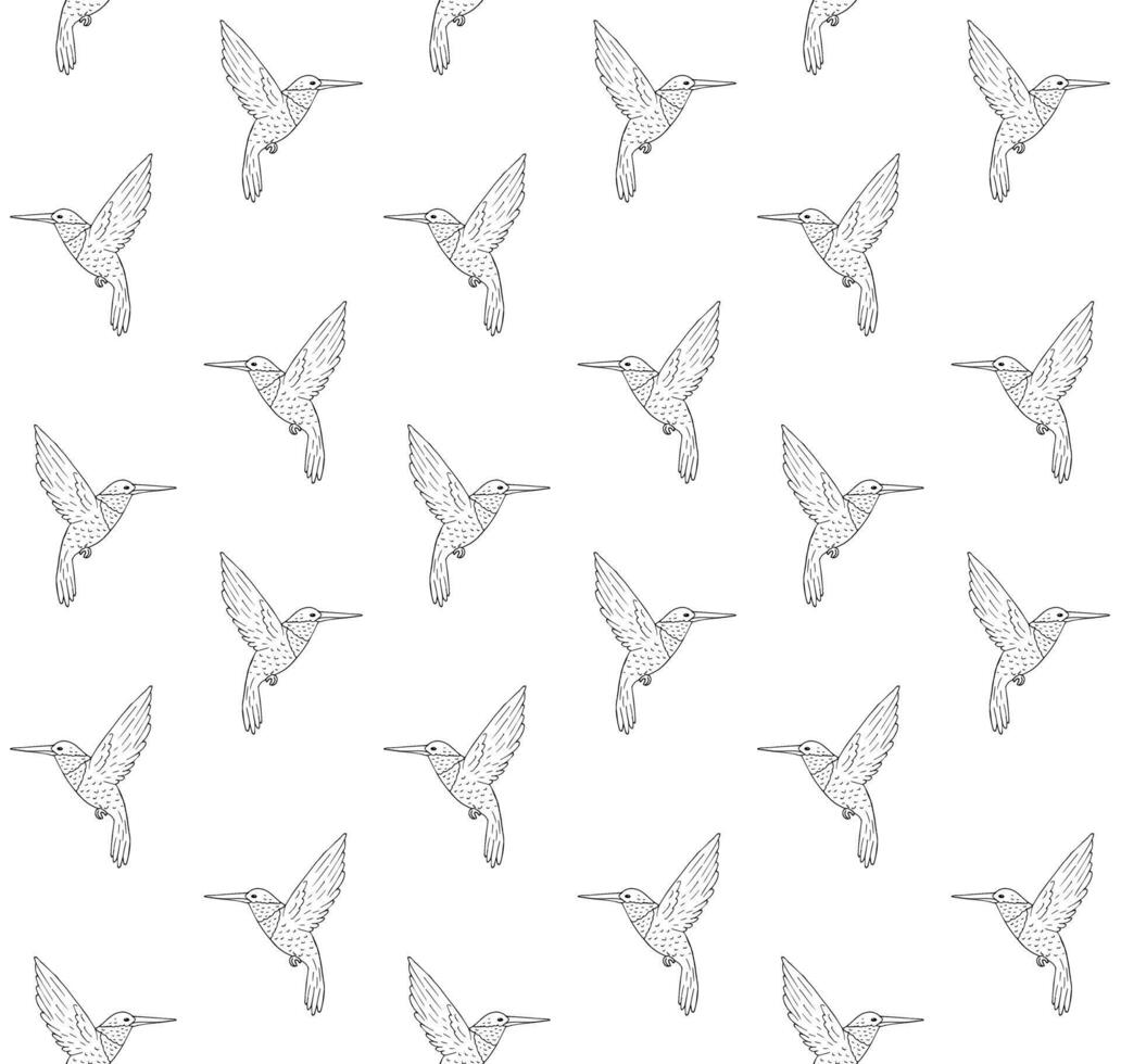 Vector seamless pattern of hand drawn hummingbird