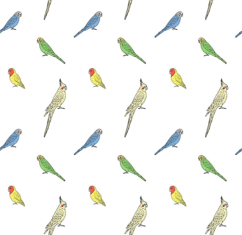 Vector seamless pattern of budgie and cockatiel